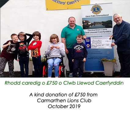 carmarthenlionsclub